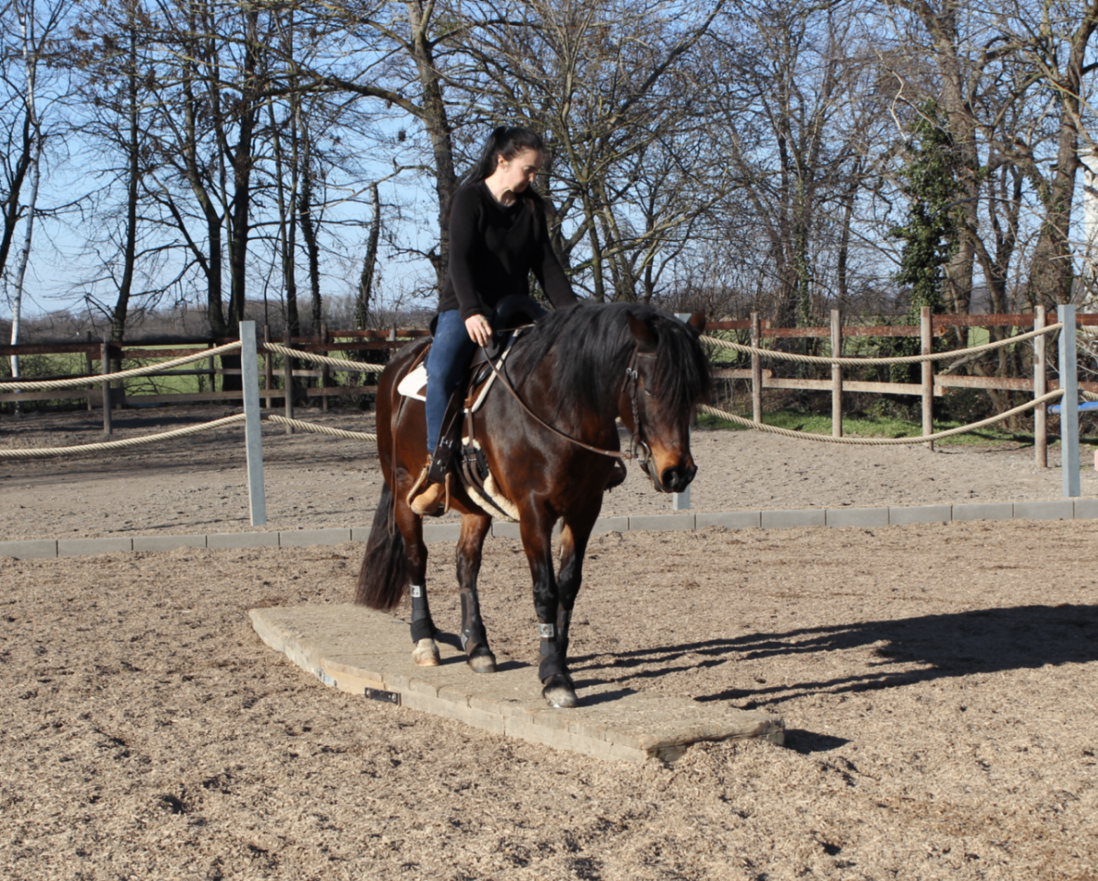 Pferdetherapie Eindruck 4